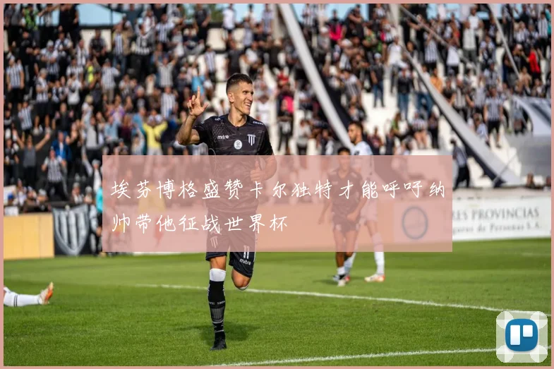 埃芬博格盛赞卡尔独特才能呼吁纳帅带他征战世界杯